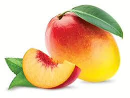 Bottle of Peach Mango vape juice with fresh peach slices and ripe mango chunks, showcasing its sweet tropical flavor.