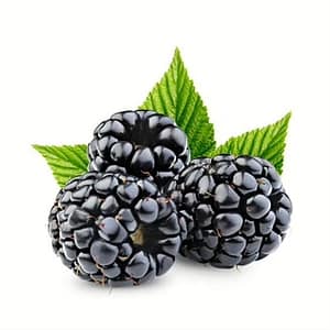 Fresh blackberries clustered together, showcasing their bold, juicy, and sweet berry flavor.