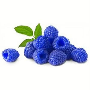 Plump blue raspberries with a frosty candy-like coating, highlighting the sweet and tangy berry flavor.