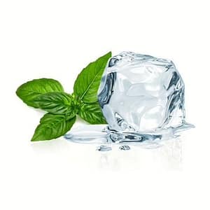 Fresh spearmint leaves, wintergreen sprigs, and frosty ice crystals, symbolizing the bold triple-mint fusion flavor.