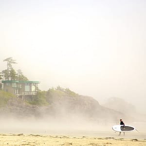 Fresh blackberries with citrus slices and icy crystals, symbolizing the sweet, tangy, and refreshing menthol blend.